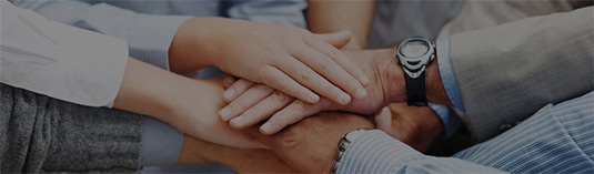 無紡布|無紡布廠家|丙綸無紡布|親水無紡布|紡粘無紡布|安徽圣通|界首市圣通無紡布有限公司|圣通無紡布